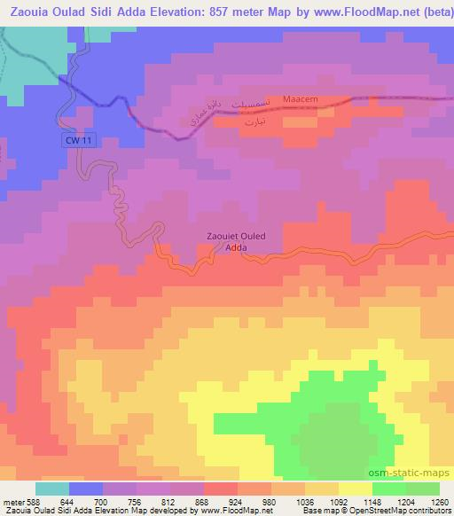 Zaouia Oulad Sidi Adda,Algeria Elevation Map