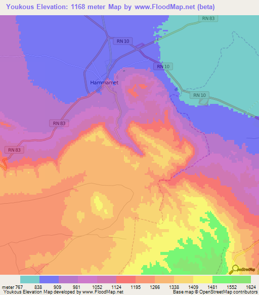 Youkous,Algeria Elevation Map