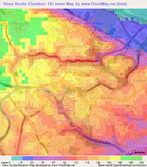 Vieux Kouba,Algeria Elevation Map