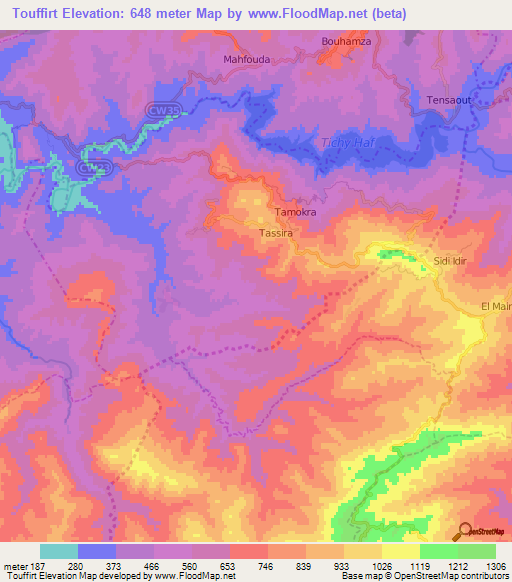 Touffirt,Algeria Elevation Map