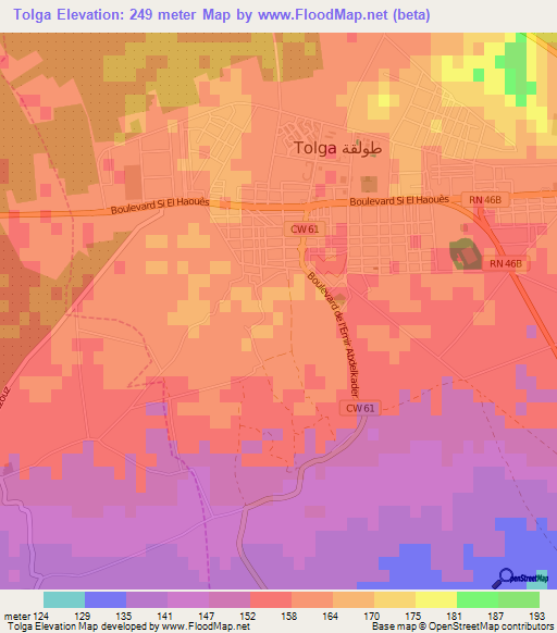 Tolga,Algeria Elevation Map