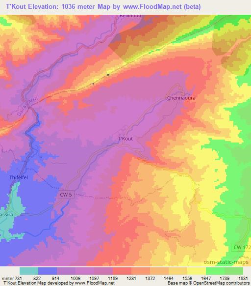 T'Kout,Algeria Elevation Map
