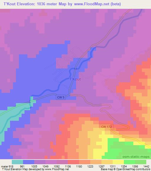 T'Kout,Algeria Elevation Map