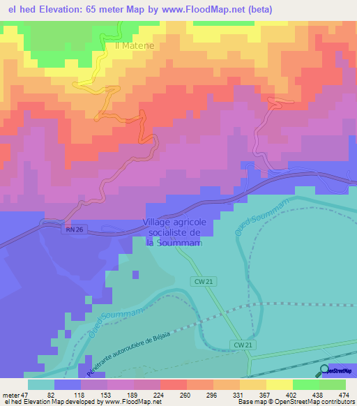 el hed,Algeria Elevation Map