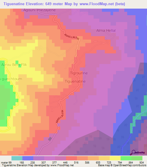 Tiguenatine,Algeria Elevation Map