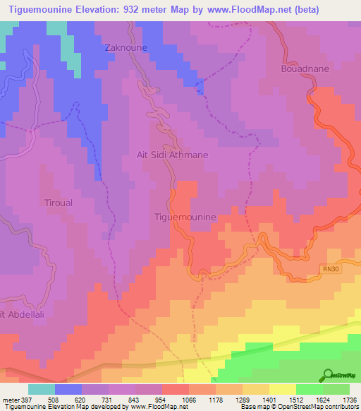 Tiguemounine,Algeria Elevation Map