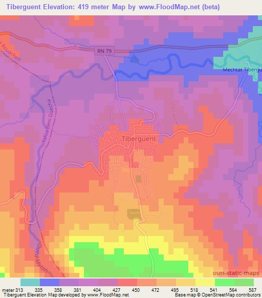 Tiberguent,Algeria Elevation Map