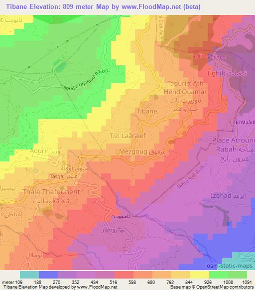 Tibane,Algeria Elevation Map