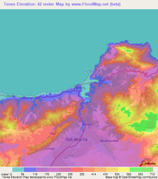 Tenes,Algeria Elevation Map