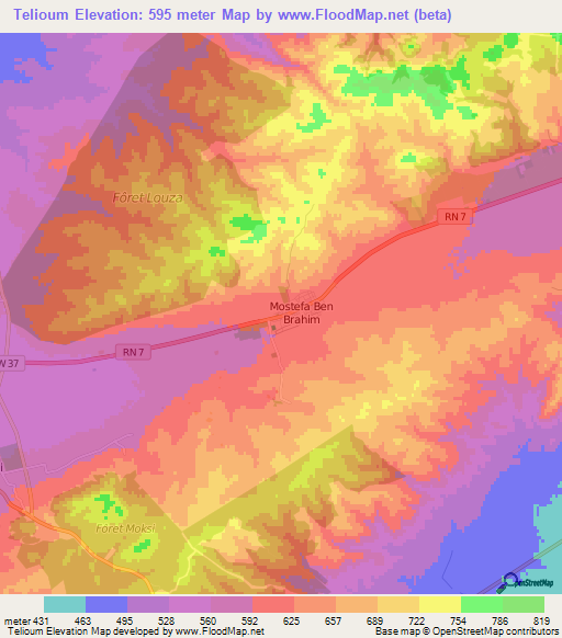 Telioum,Algeria Elevation Map
