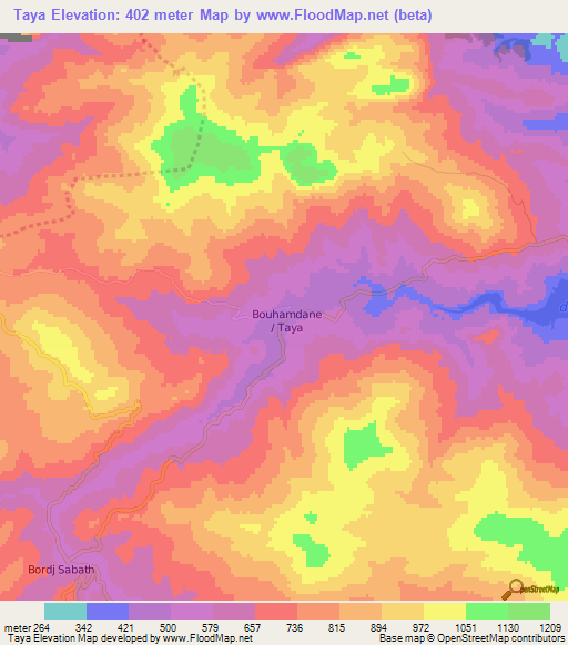 Taya,Algeria Elevation Map