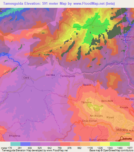Tamesguida,Algeria Elevation Map