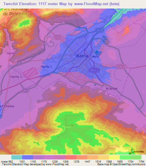 Tamchit,Algeria Elevation Map