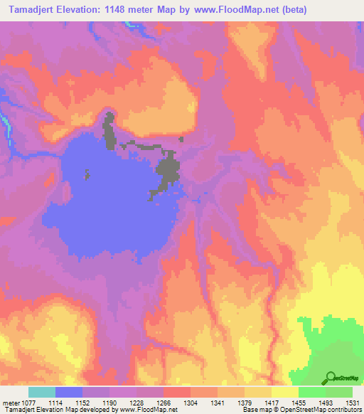 Tamadjert,Algeria Elevation Map