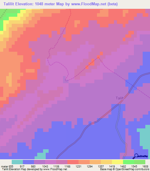 Talilit,Algeria Elevation Map