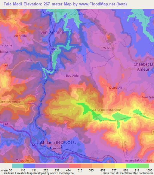 Tala Madi,Algeria Elevation Map