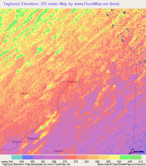 Taghouzi,Algeria Elevation Map