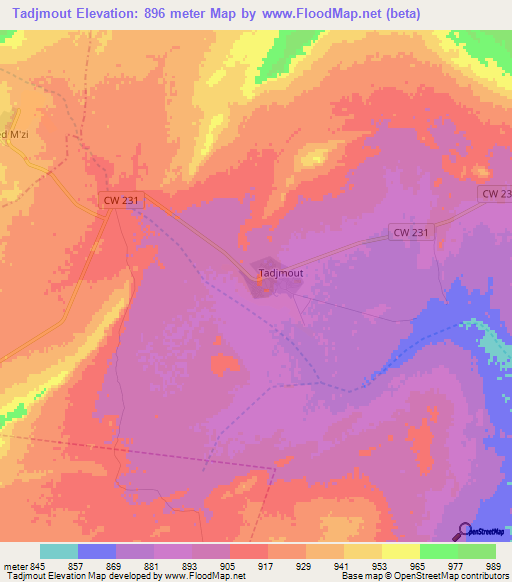 Tadjmout,Algeria Elevation Map
