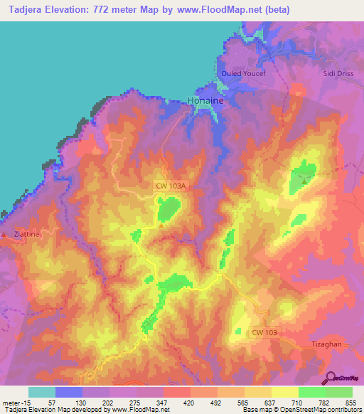 Tadjera,Algeria Elevation Map