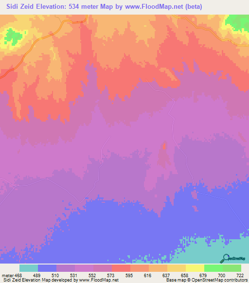 Sidi Zeid,Algeria Elevation Map
