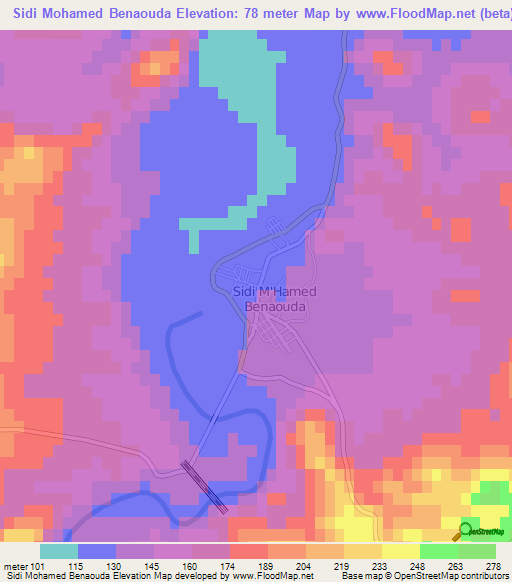 Sidi Mohamed Benaouda,Algeria Elevation Map