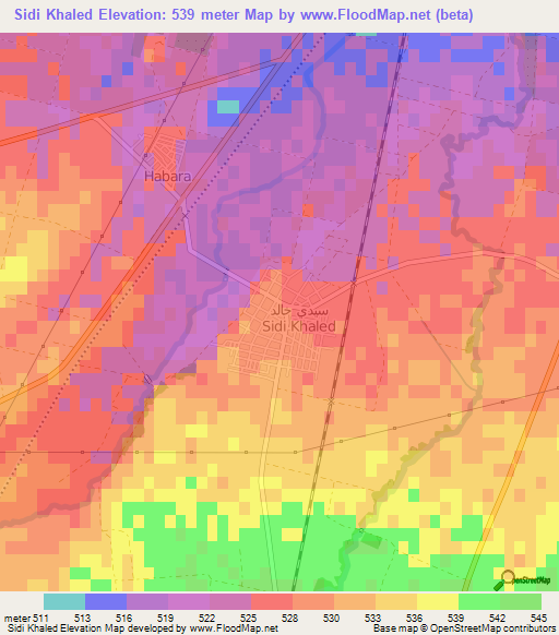 Sidi Khaled,Algeria Elevation Map
