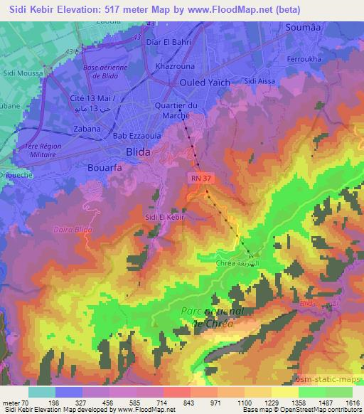 Sidi Kebir,Algeria Elevation Map