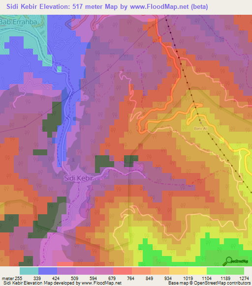 Sidi Kebir,Algeria Elevation Map