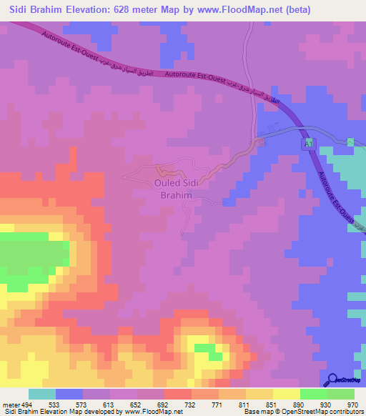 Sidi Brahim,Algeria Elevation Map