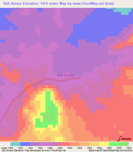 Sidi Ameur,Algeria Elevation Map