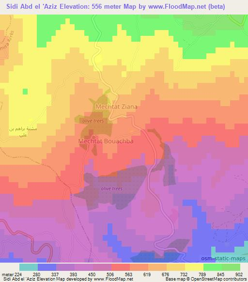 Sidi Abd el 'Aziz,Algeria Elevation Map