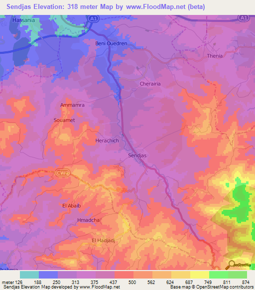 Sendjas,Algeria Elevation Map