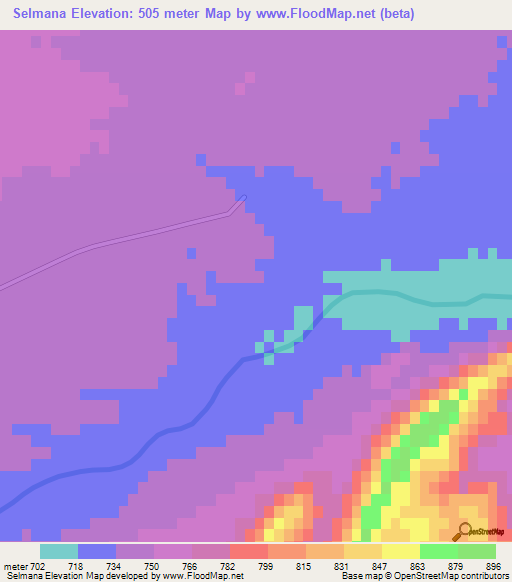 Selmana,Algeria Elevation Map