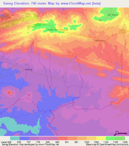 Saneg,Algeria Elevation Map