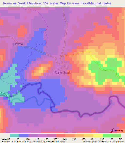 Roum es Souk,Algeria Elevation Map