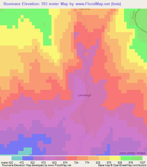 Roumane,Algeria Elevation Map