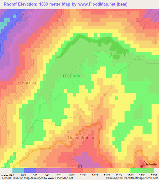 Rhoraf,Algeria Elevation Map