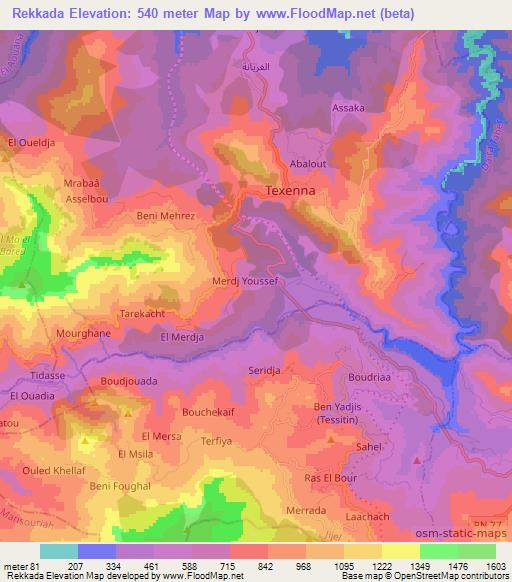 Rekkada,Algeria Elevation Map
