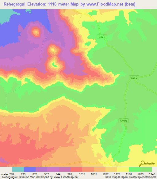 Rehegragui,Algeria Elevation Map