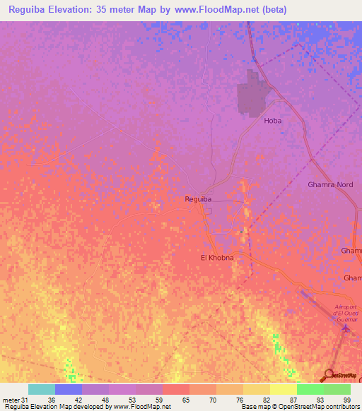 Reguiba,Algeria Elevation Map