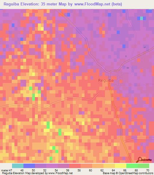 Reguiba,Algeria Elevation Map