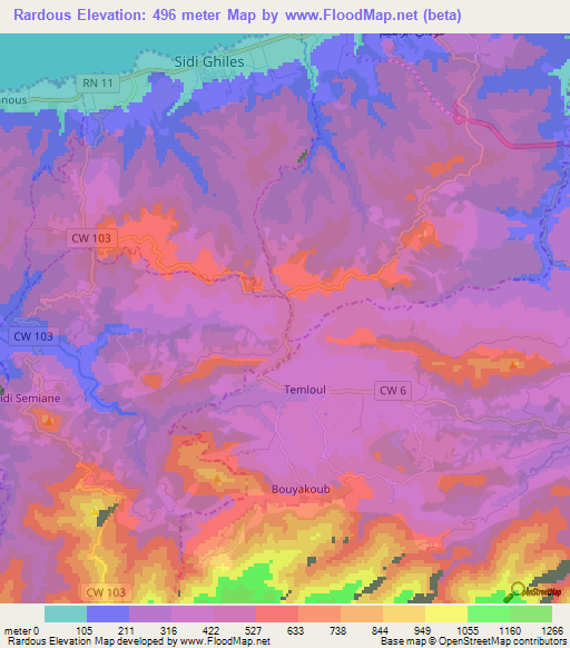 Rardous,Algeria Elevation Map