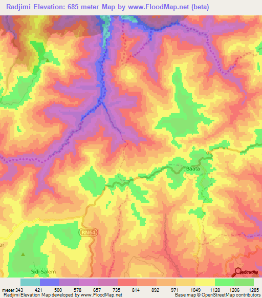 Radjimi,Algeria Elevation Map