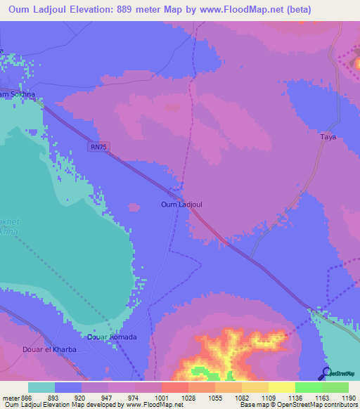 Oum Ladjoul,Algeria Elevation Map