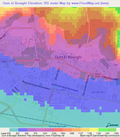 Oum el Bouaghi,Algeria Elevation Map