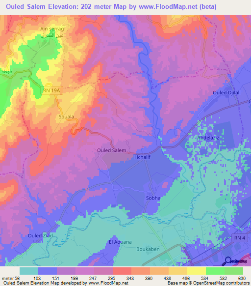 Ouled Salem,Algeria Elevation Map