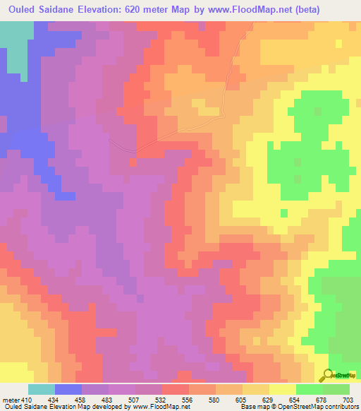 Ouled Saidane,Algeria Elevation Map