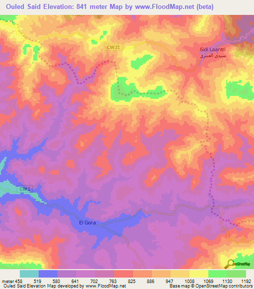 Ouled Said,Algeria Elevation Map