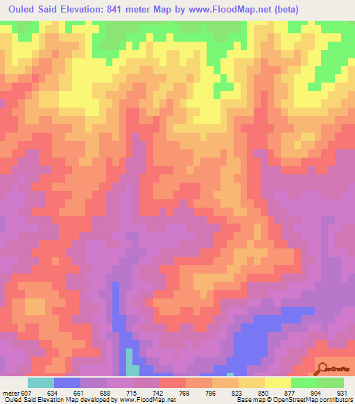Ouled Said,Algeria Elevation Map