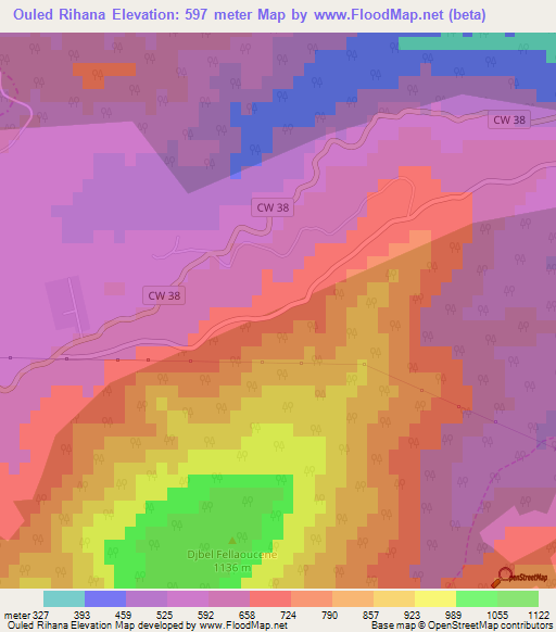Ouled Rihana,Algeria Elevation Map